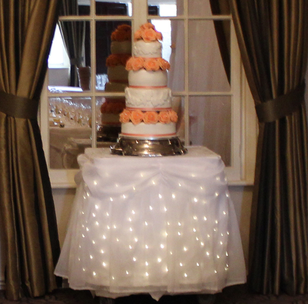 Starlit-cake-table-skirt-at-ramside-hall